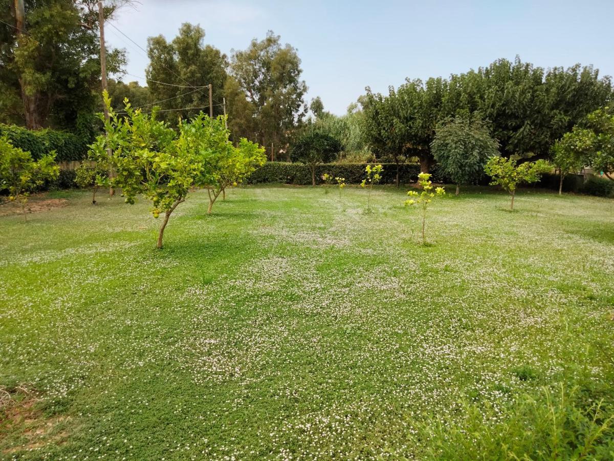Agriturismo I Doni Del Mandorlo Alghero Luaran gambar